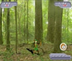 Play Animal Hunter